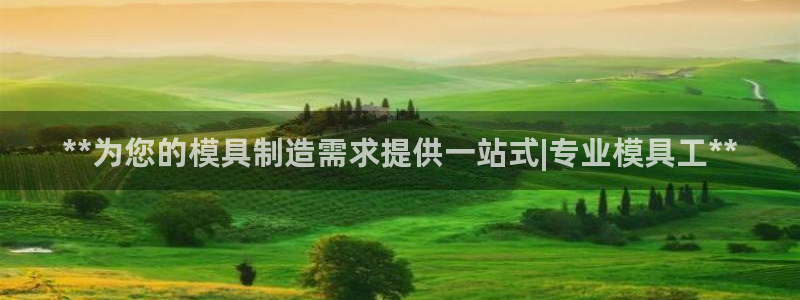 太阳集团的法人代表：**为您的模具制造需求提供一站式|专业模具工**