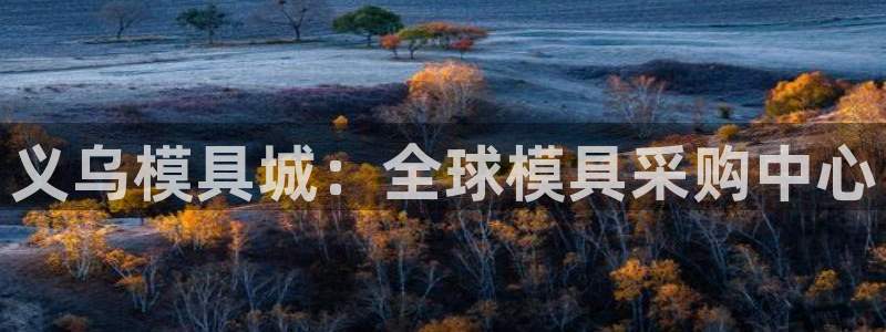 太阳成集团tyc234cc[主页]：义乌模具城：全球模具采购中心