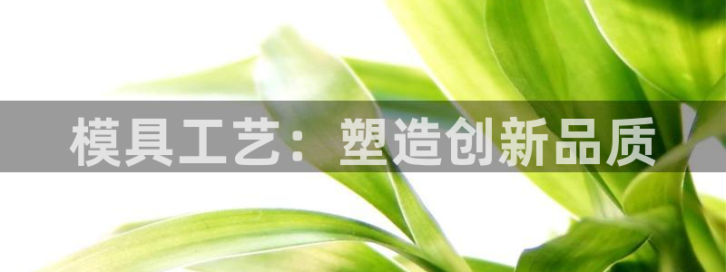 太阳成集团tyc7111cc下载手机版：模具工艺：塑造创新品质