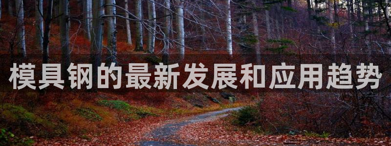 太阳gg娱选_2o5o26：模具钢的最新发展和应用趋势
