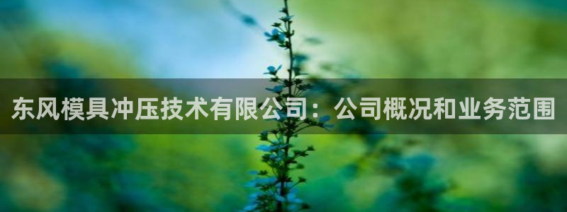 古天乐太阳集团广告：东风模具冲压技术有限公司：公司概况和业务范围