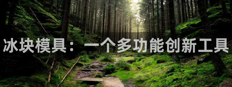 太阳集团注册：冰块模具：一个多功能创新工具