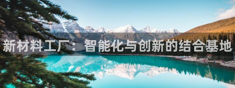 太阳集团股份有限公司招聘：新材料工厂：智能化与创新的结合基地