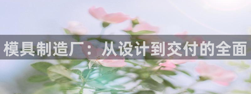 太阳集团董事长：模具制造厂：从设计到交付的全面
