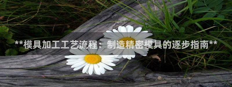 太阳成集团tyc234cc振兴：**模具加工工艺流程：制造精密模具的逐步指南**