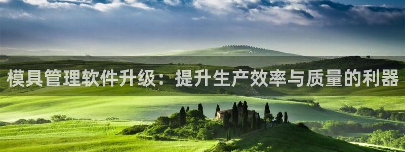 太阳成集团洗米华：模具管理软件升级：提升生产效率与质量的利器
