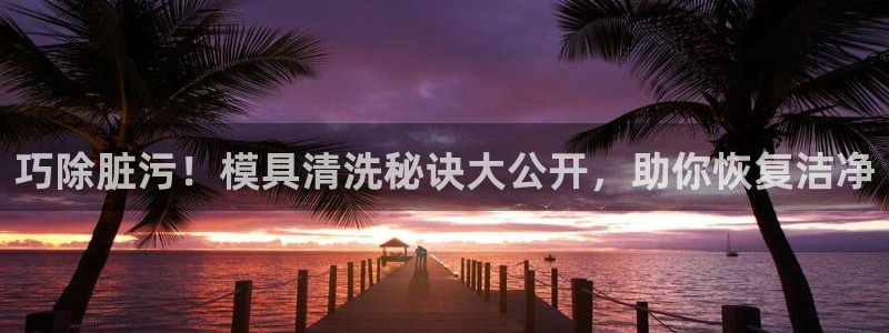 太阳集团股份有限公司招聘：巧除脏污！模具清洗秘诀大公开，助你恢复洁净