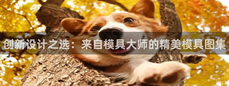 太阳成集团tyc1050：创新设计之选：来自模具大师的精美模具图集