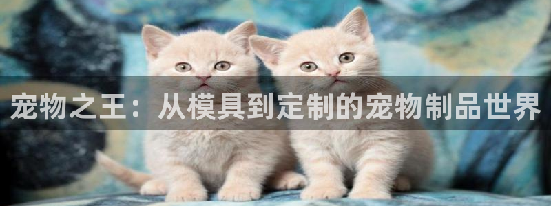太阳集团2021备用网址