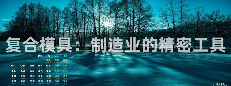 太阳控股集团有限公司董事长：复合模具：制造业的精密工具