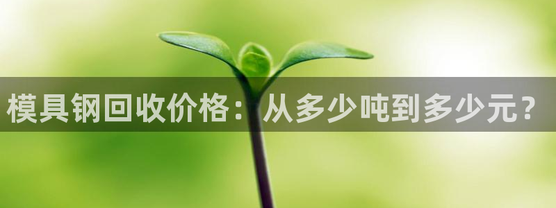 太阳集团是什么平台?
