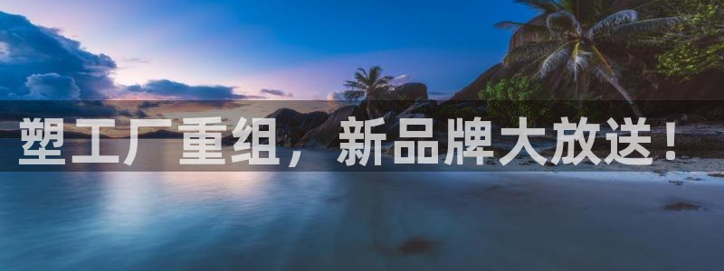 太阳集团是一家什么公司