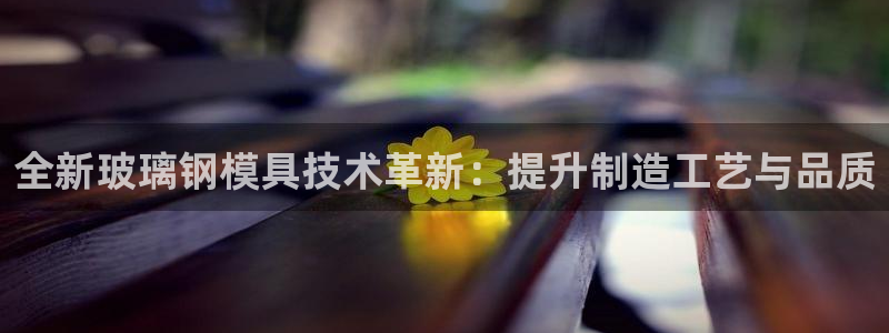 太阳集团是什么