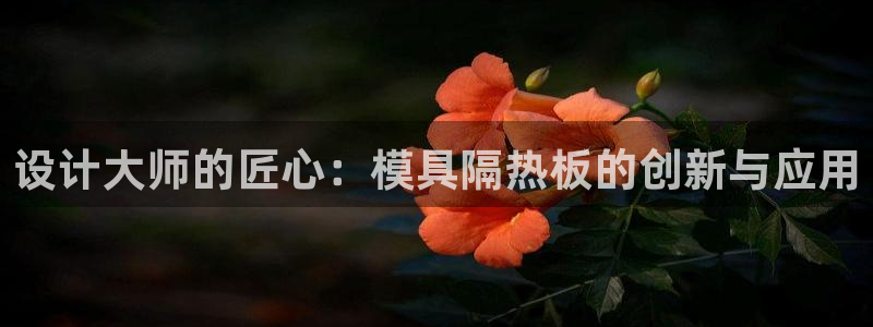 太阳gg登录首页：设计大师的匠心：模具隔热板的创新与应用