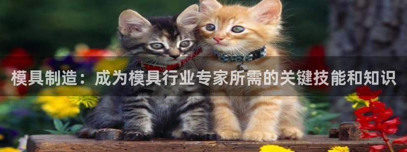 太阳集团电子游戏官方版：模具制造：成为模具行业专家所需的关键