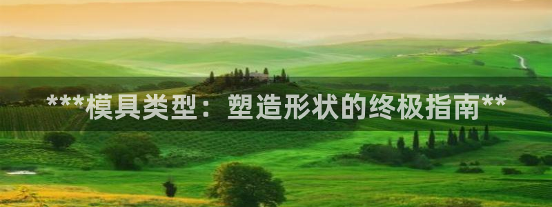 太阳集团城2017网站：***模具类型：塑造形状的终极指南*