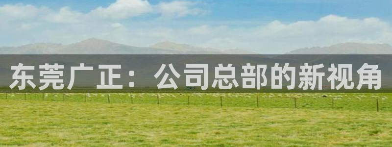 太阳成集团tyc122cc客服：东莞广正：公司总部的新视角