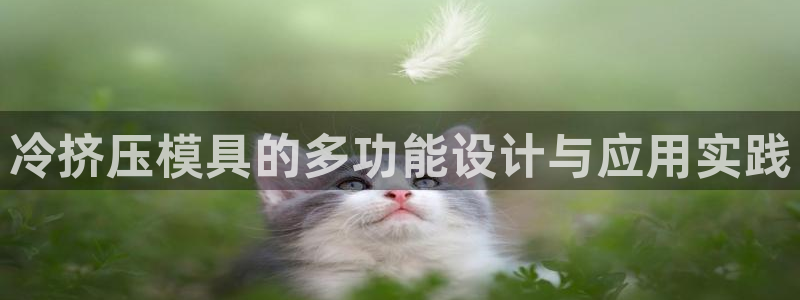 太阳集团不能提现怎么办：冷挤压模具的多功能设计与应用实践