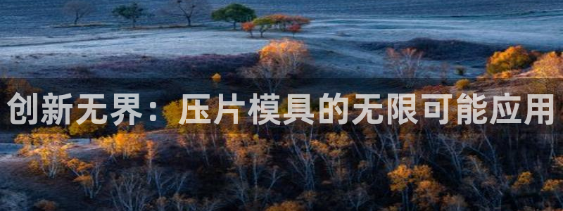 太阳集团城所有网址是多少：创新无界：压片模具的无限可能应用