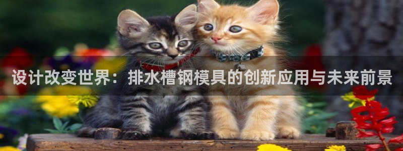 太阳集团游戏平台：设计改变世界：排水槽钢模具的创新应用与未来前景
