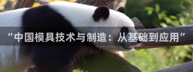 太阳集团网站入口官网下载：“中国模具技术与制造：从基础到应用”