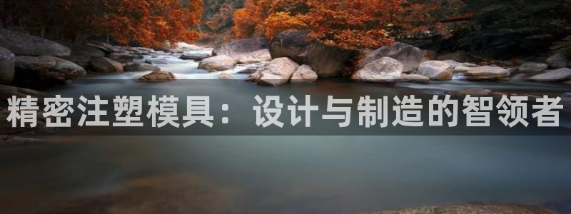 太阳集团是什么集团：精密注塑模具：设计与制造的智领者