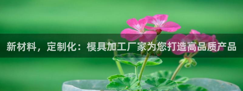 太阳成集团tyc234cc官网：新材料，定制化：模具加工厂家为您打造高品质产品