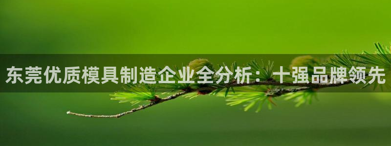 古天乐代言澳门太阳游戏网址：东莞优质模具制造企业全分析：十强品牌领先