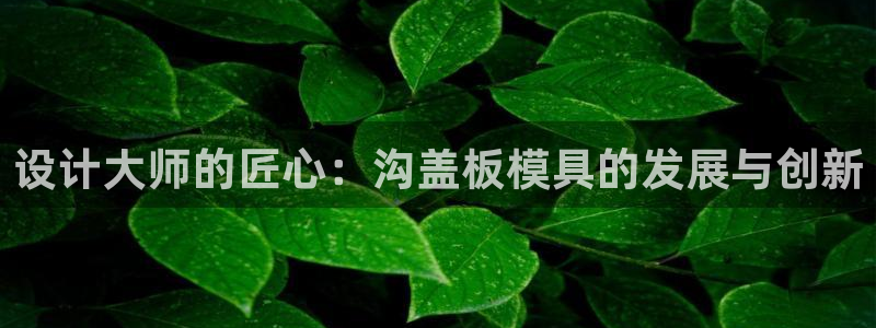 太阳科技集团：设计大师的匠心：沟盖板模具的发展与创新
