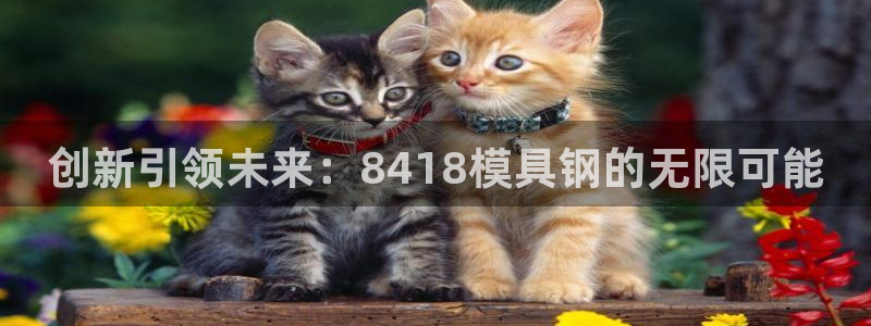 8827太阳集团官网：创新引领未来：8418模具钢的无限可能