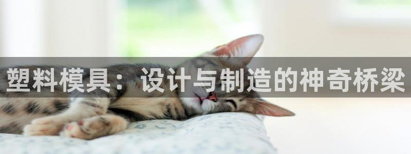 太阳集团注册：塑料模具：设计与制造的神奇桥梁