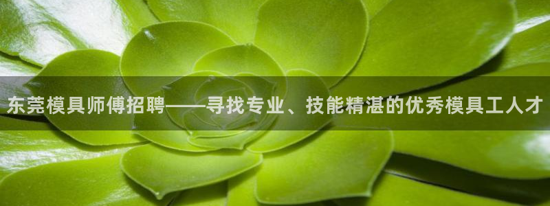 太阳成集团电影：东莞模具师傅招聘——寻找专业、技能精湛的优秀模具工人才