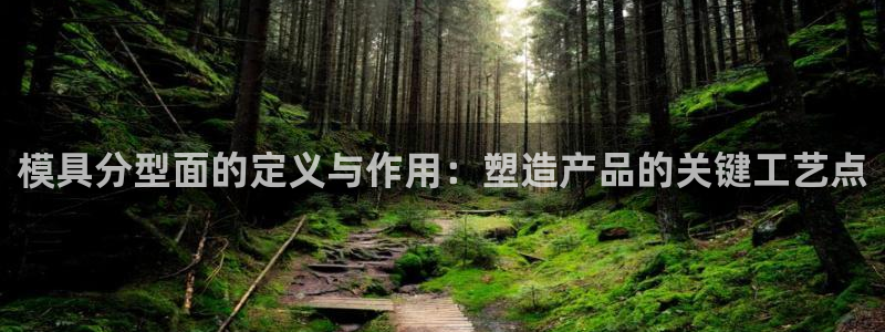冷たい太阳：模具分型面的定义与作用：塑造产品的关键工艺点