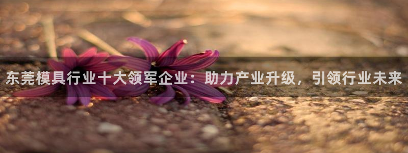 太阳集团电子游戏APP登录入口：东莞模具行业十大领军企业：助力产业升级，引领行业未来