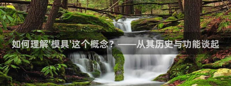 太阳集团电子游戏(中国)有限公司官网：如何理解\'模具\'这个概念？——从其历史与功能谈起