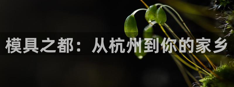 太阳成集团游戏是正规平台嚒：模具之都：从杭州到你的家乡