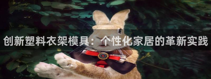 古天乐太阳集团网址：创新塑料衣架模具：个性化家居的革新实践