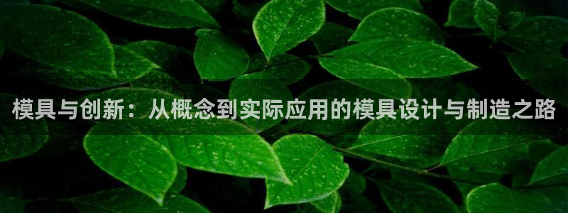 太阳商城贵宾会2017cm：模具与创新：从概念到实际应用的模具设计与制造之路