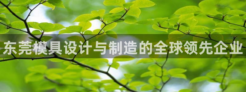 太阳成集团com：东莞模具设计与制造的全球领先企业