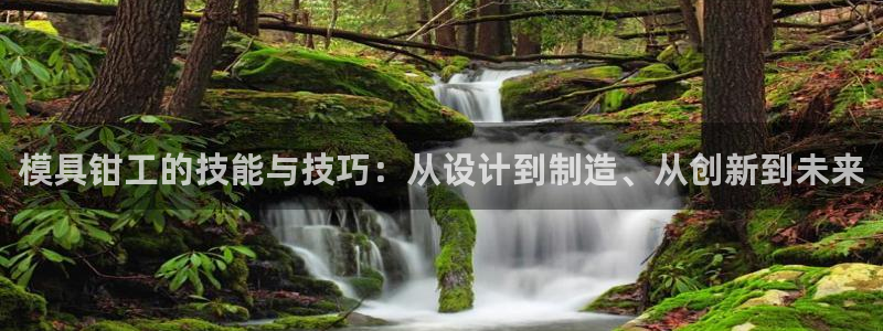 冷太阳演员表