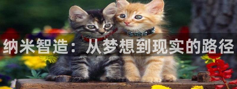 太阳集团8027：纳米智造：从梦想到现实的路径