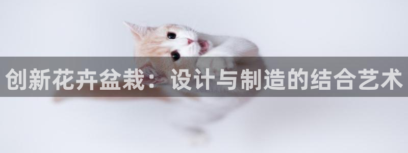 太阳gg注册地址：创新花卉盆栽：设计与制造的结合艺术