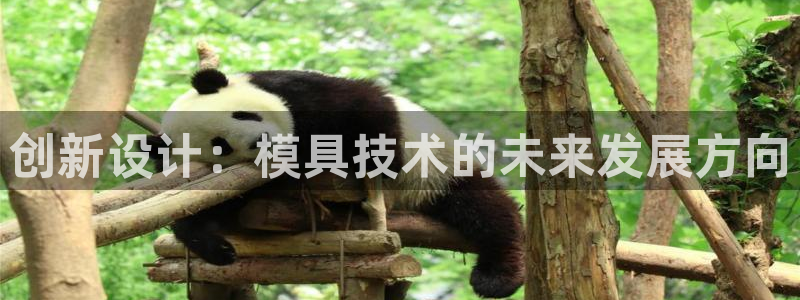 太阳集团娱乐场：创新设计：模具技术的未来发展方向