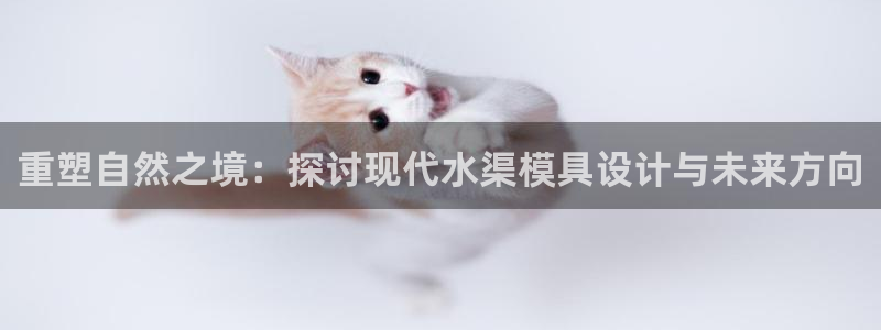 太阳集团电子游戏登录：重塑自然之境：探讨现代水渠模具设计与未来方向