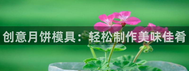 太阳集团房地产：创意月饼模具：轻松制作美味佳肴