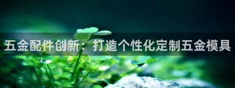 太阳成集团mmm671：五金配件创新：打造个性化定制五金模具