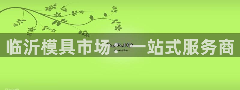 太阳神电子游戏平台：临沂模具市场：一站式服务商