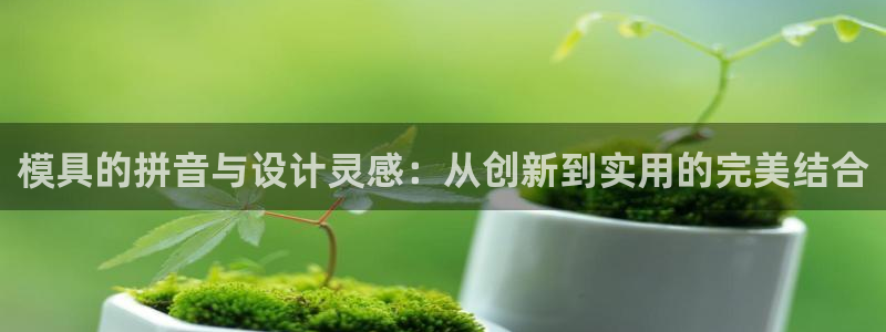 太阳2平台网址：模具的拼音与设计灵感：从创新到实用的完美结合