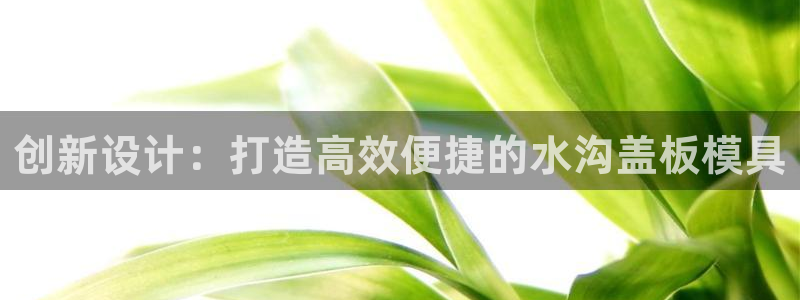 太阳集团城网址娱网 - 太阳集团电子游戏：创新设计：打造高效便捷的水沟盖板模具
