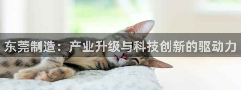 太阳集团公司董事长：东莞制造：产业升级与科技创新的驱动力